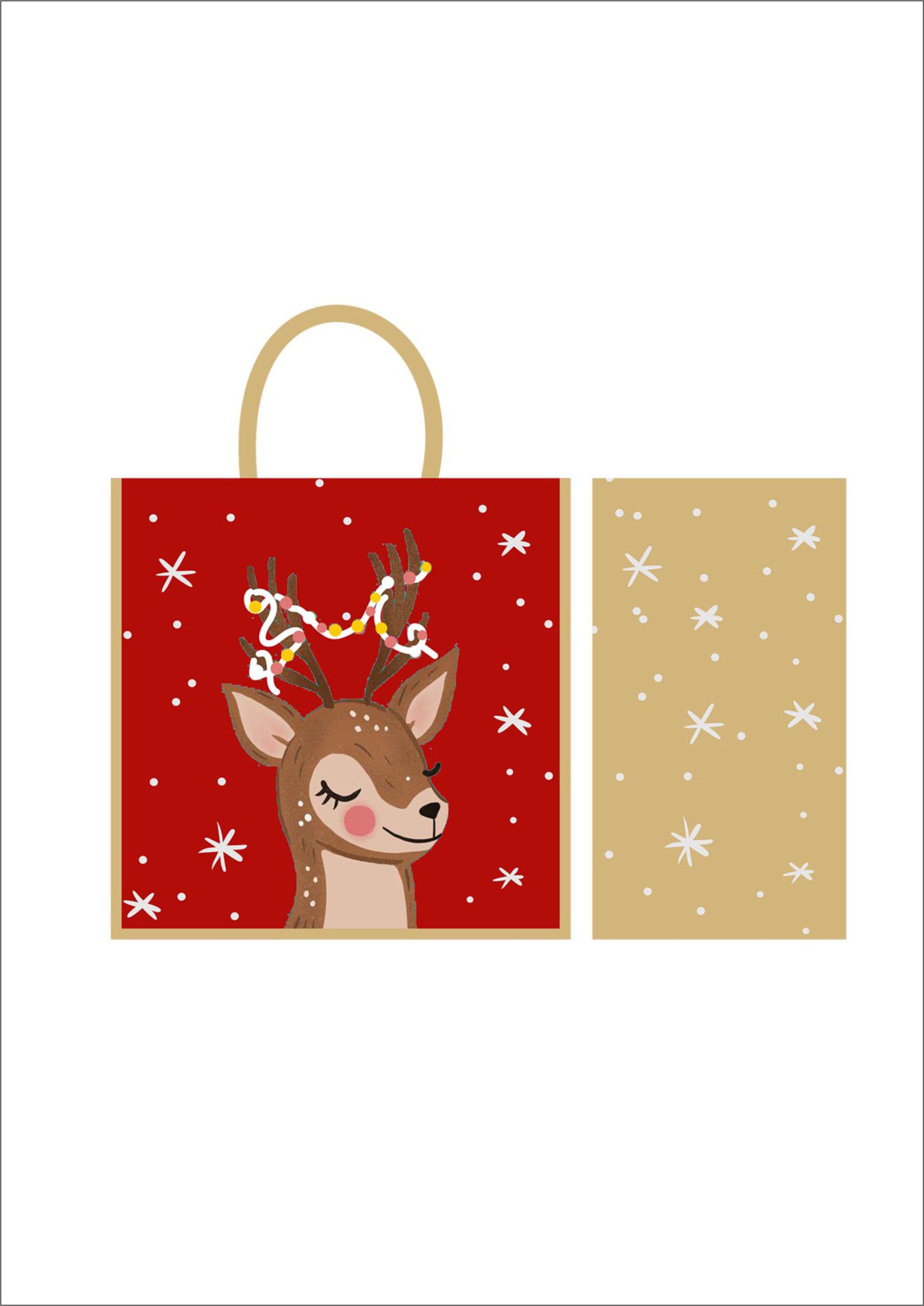 BAG-5